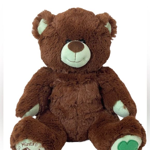 Build-A-Bear Girl Scouts Thin Mint Cookie Teddy Bear Plush Stuffed Animal Brown - Picture 3 of 15